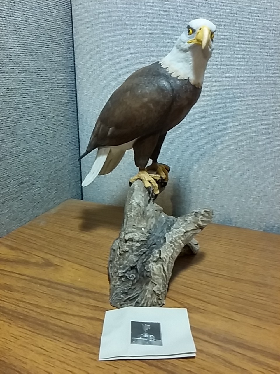 Hand-Painted & Sculptured Bald Eagle Hai Feng Ma 