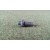 Jointed Face Spanner Wrench Replacement Pin 1/4" W/ 5/16 x 18 threads.
